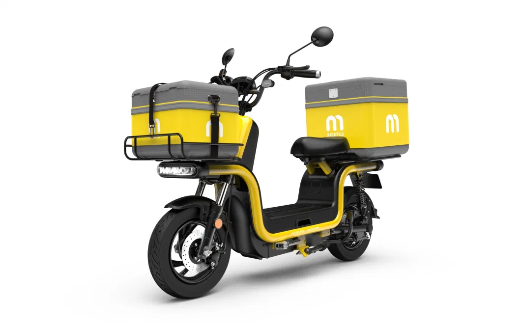 Electric Cargo Scooter High Speed Maxspeed Above 60km/H 1500W Motor with Lead Acid/Lithium Battery