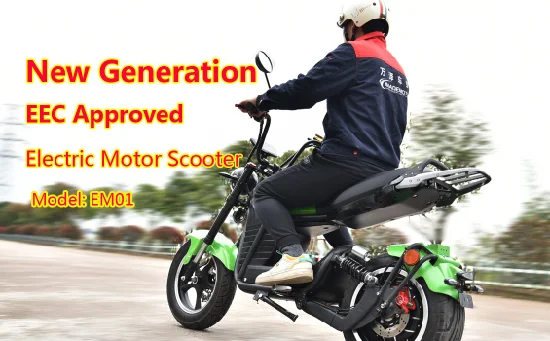 China Fábrica 3000W 4000W 5000W CEE Adulto Scooter Eléctrico