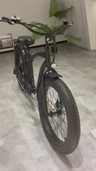 Bicicleta elétrica Ebike com pneu gordo de 750 W da China para homem com suspensão total